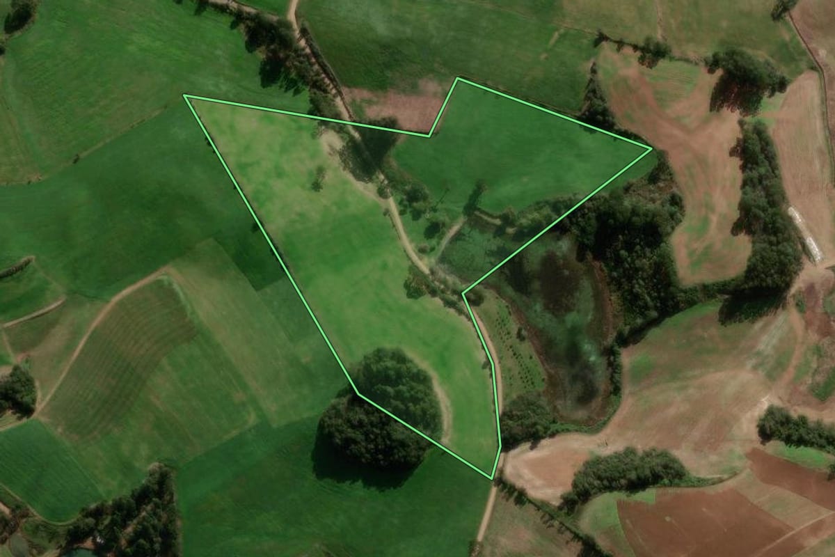 Imagem de satélite do imóvel rural em Paraí (RS), com o contorno declarado no CAR desenhado por cima.
