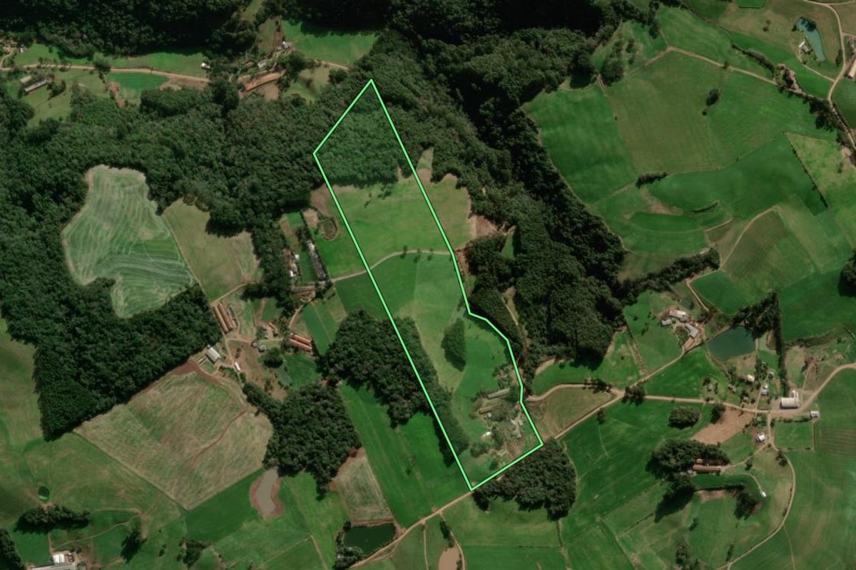 Imagem de satélite do imóvel rural em Paraí (RS), com o contorno declarado no CAR desenhado por cima.