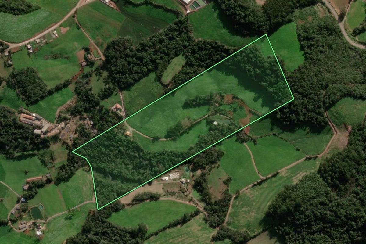 Imagem de satélite do imóvel rural em Paraí (RS), com o contorno declarado no CAR desenhado por cima.
