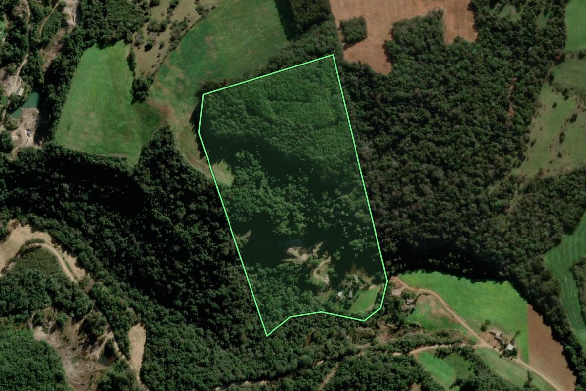 Imagem de satélite do imóvel rural em Paraí (RS), com o contorno declarado no CAR desenhado por cima.