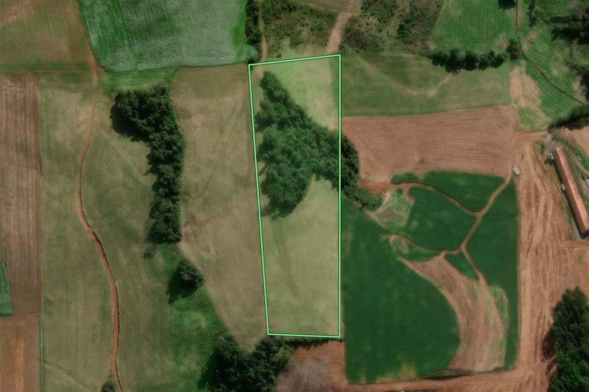 Imagem de satélite do imóvel rural em Paraí (RS), com o contorno declarado no CAR desenhado por cima.