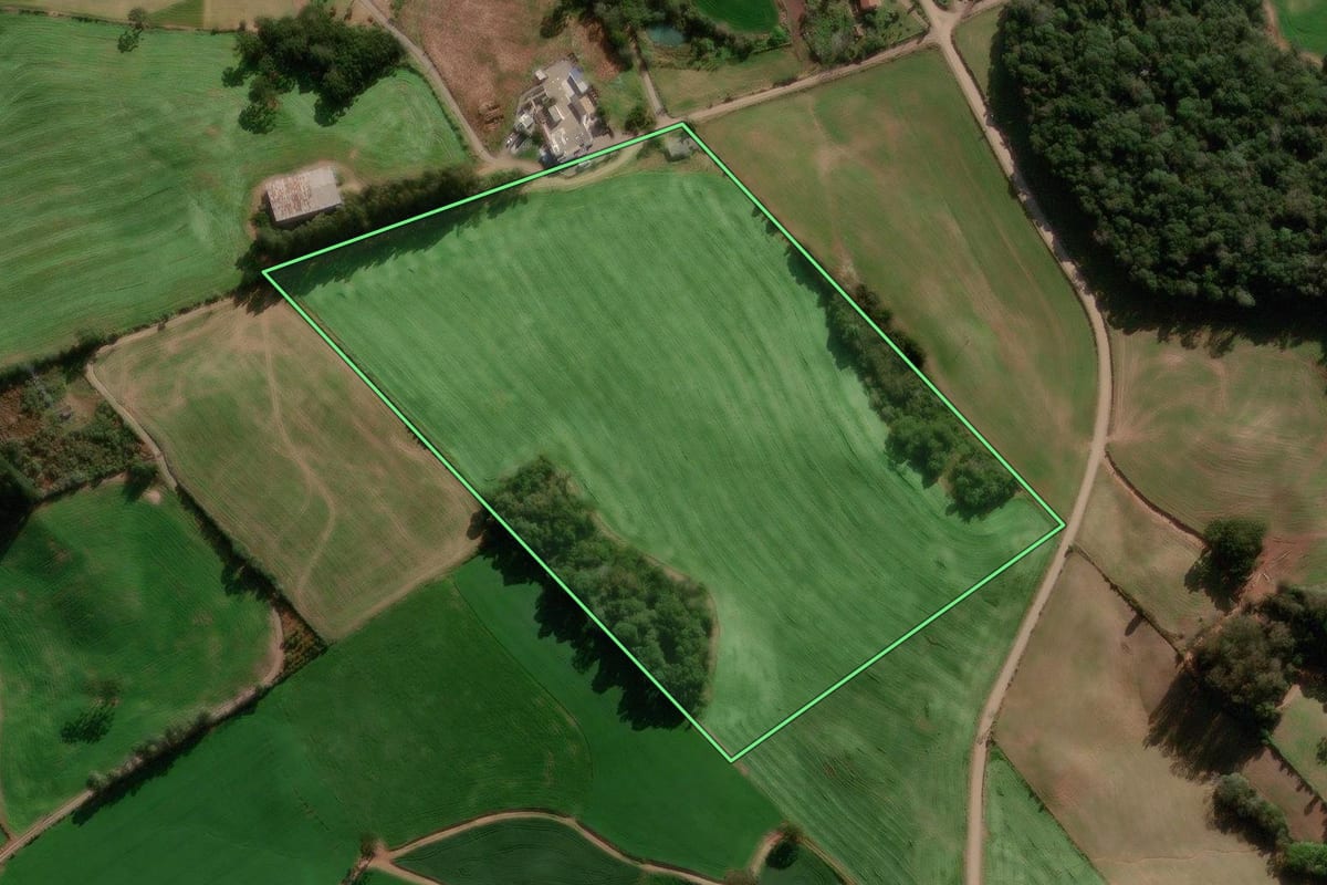 Imagem de satélite do imóvel rural em Paraí (RS), com o contorno declarado no CAR desenhado por cima.