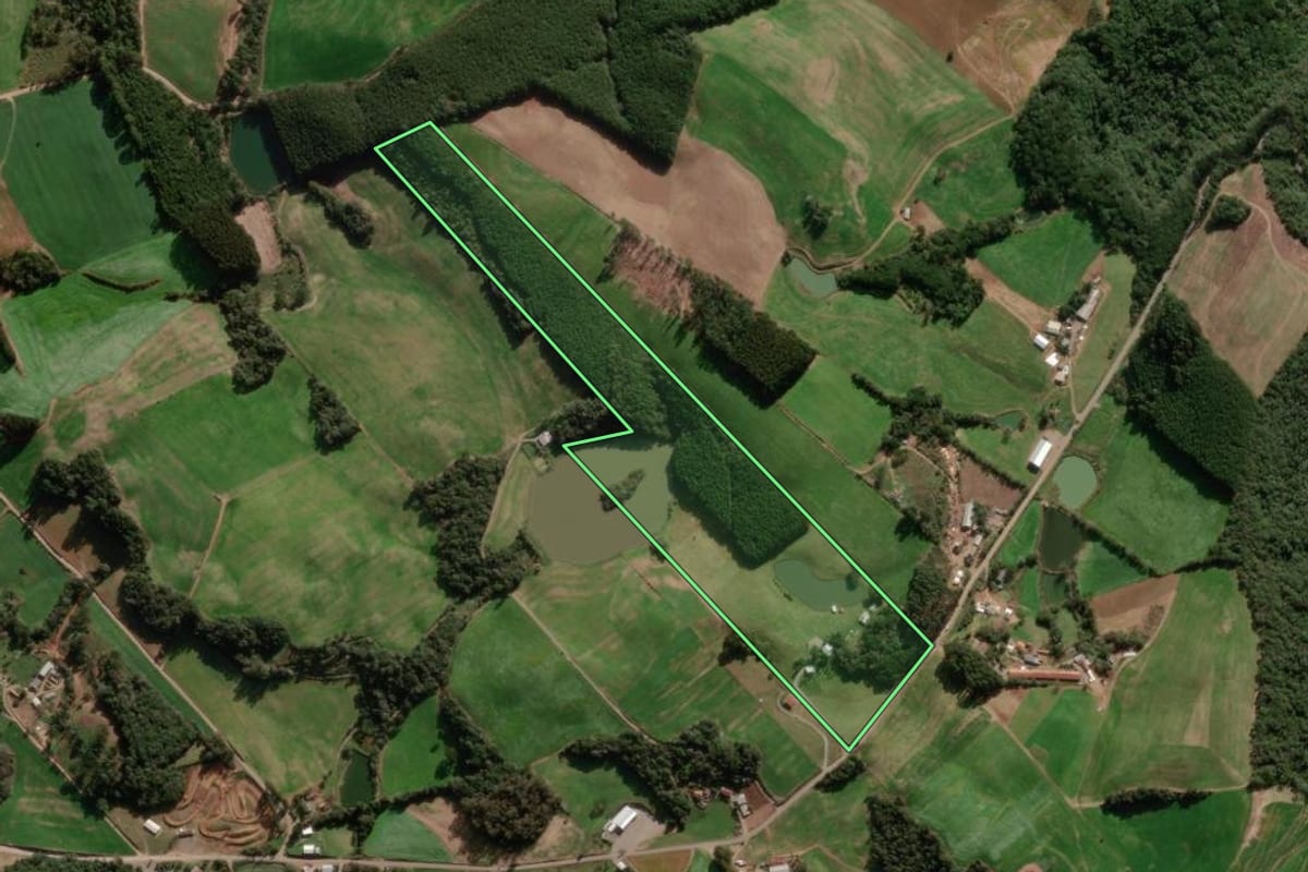 Imagem de satélite do imóvel rural em Paraí (RS), com o contorno declarado no CAR desenhado por cima.