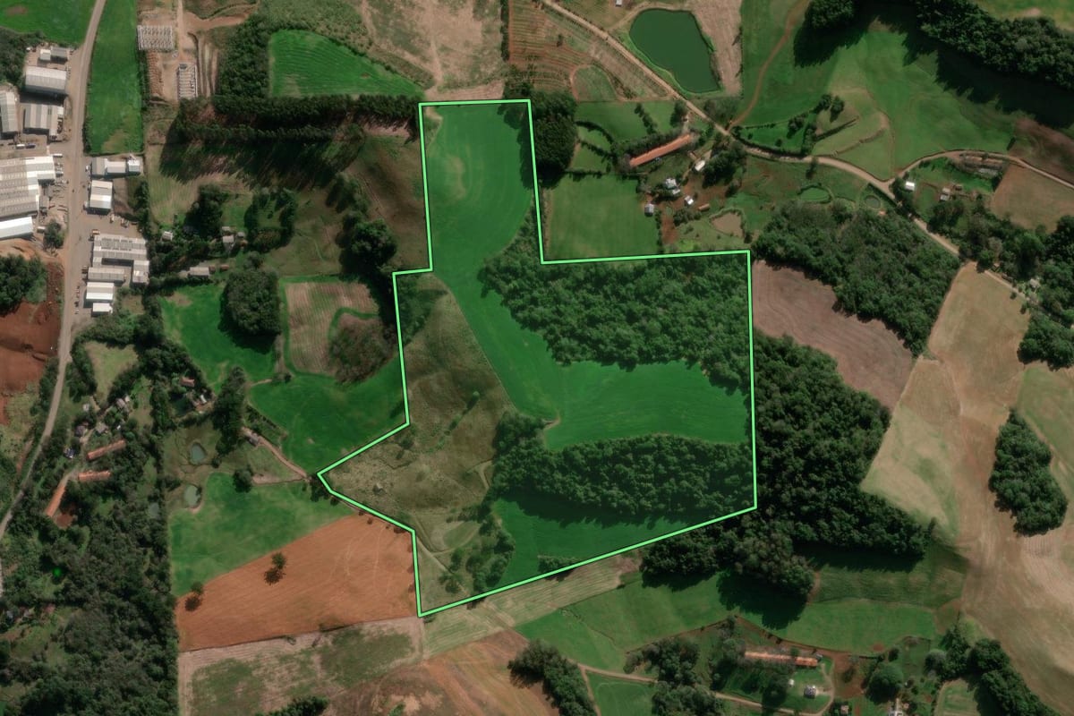 Imagem de satélite do imóvel rural em Paraí (RS), com o contorno declarado no CAR desenhado por cima.