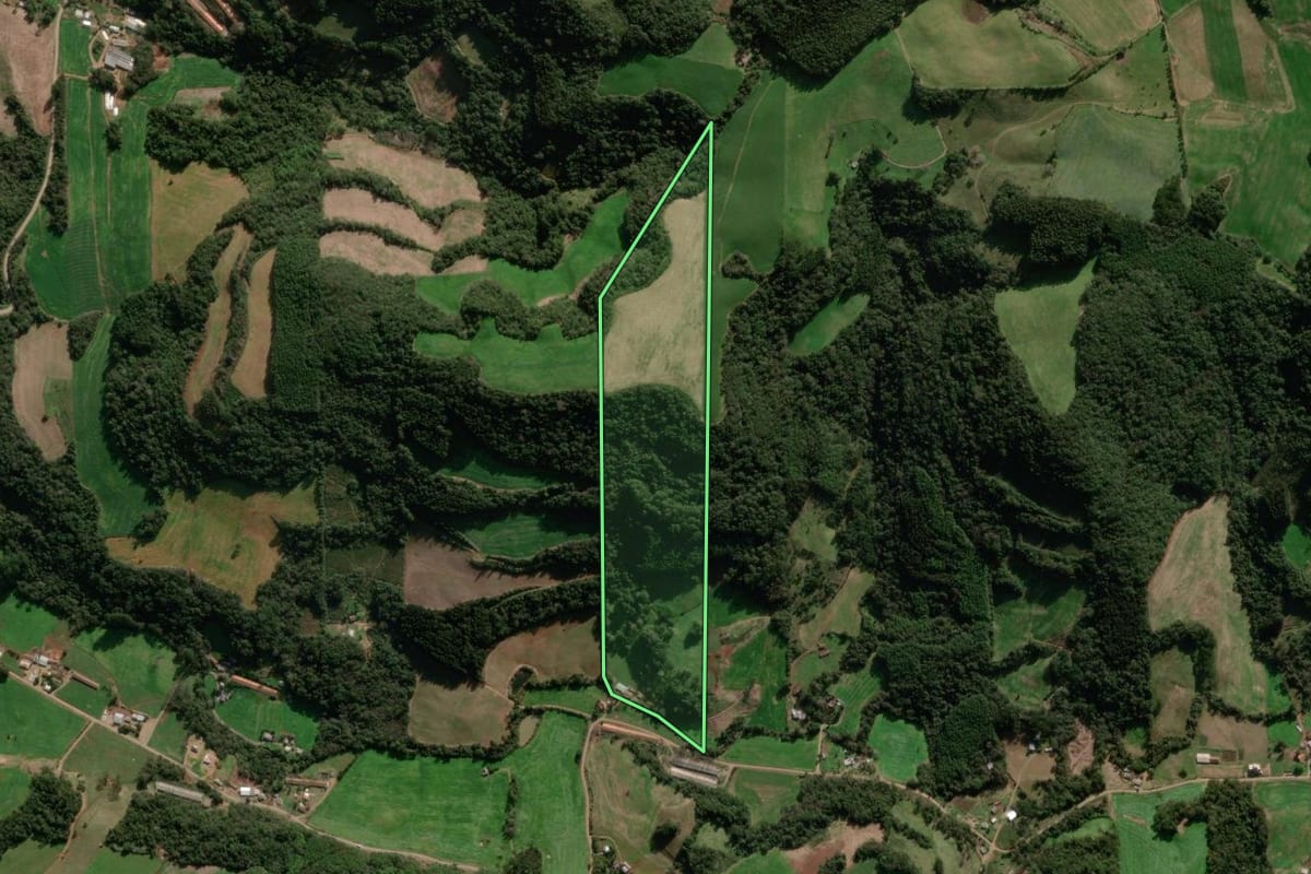 Imagem de satélite do imóvel rural em Paraí (RS), com o contorno declarado no CAR desenhado por cima.