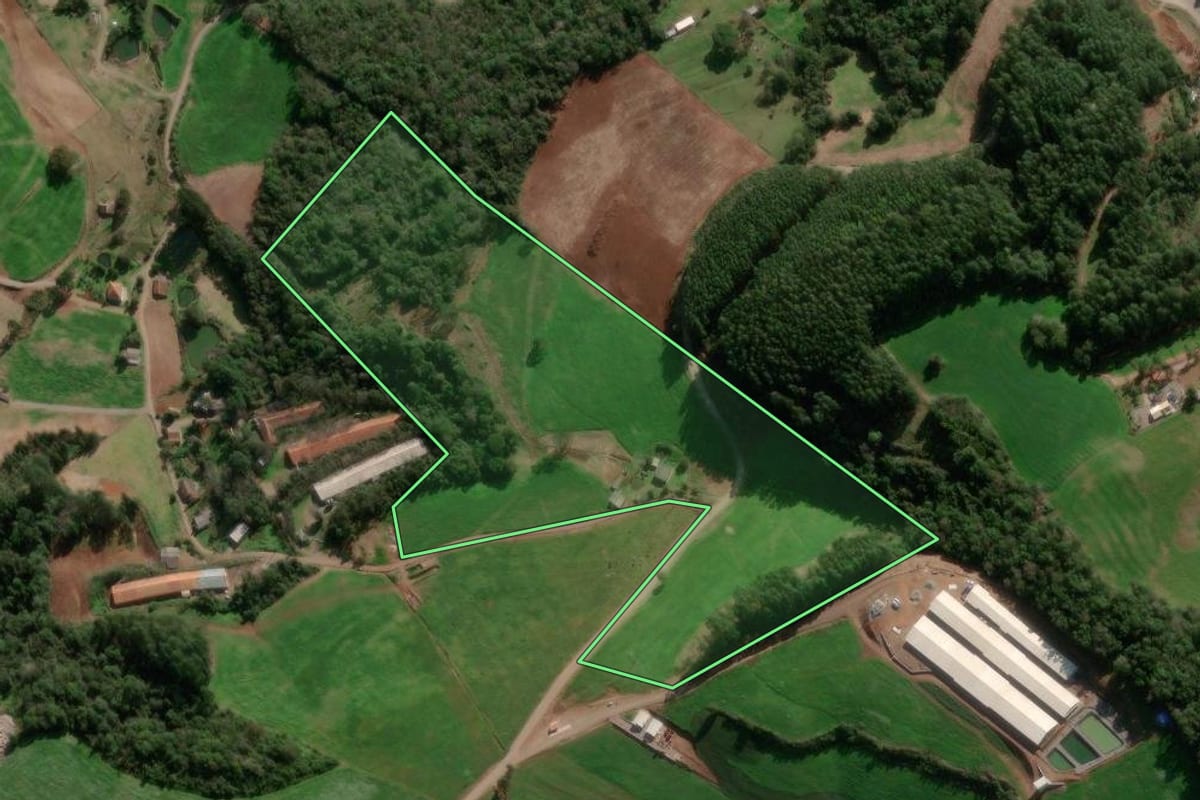 Imagem de satélite do imóvel rural em Paraí (RS), com o contorno declarado no CAR desenhado por cima.