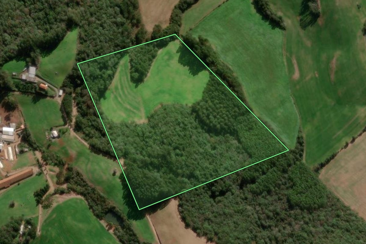 Imagem de satélite do imóvel rural em Paraí (RS), com o contorno declarado no CAR desenhado por cima.