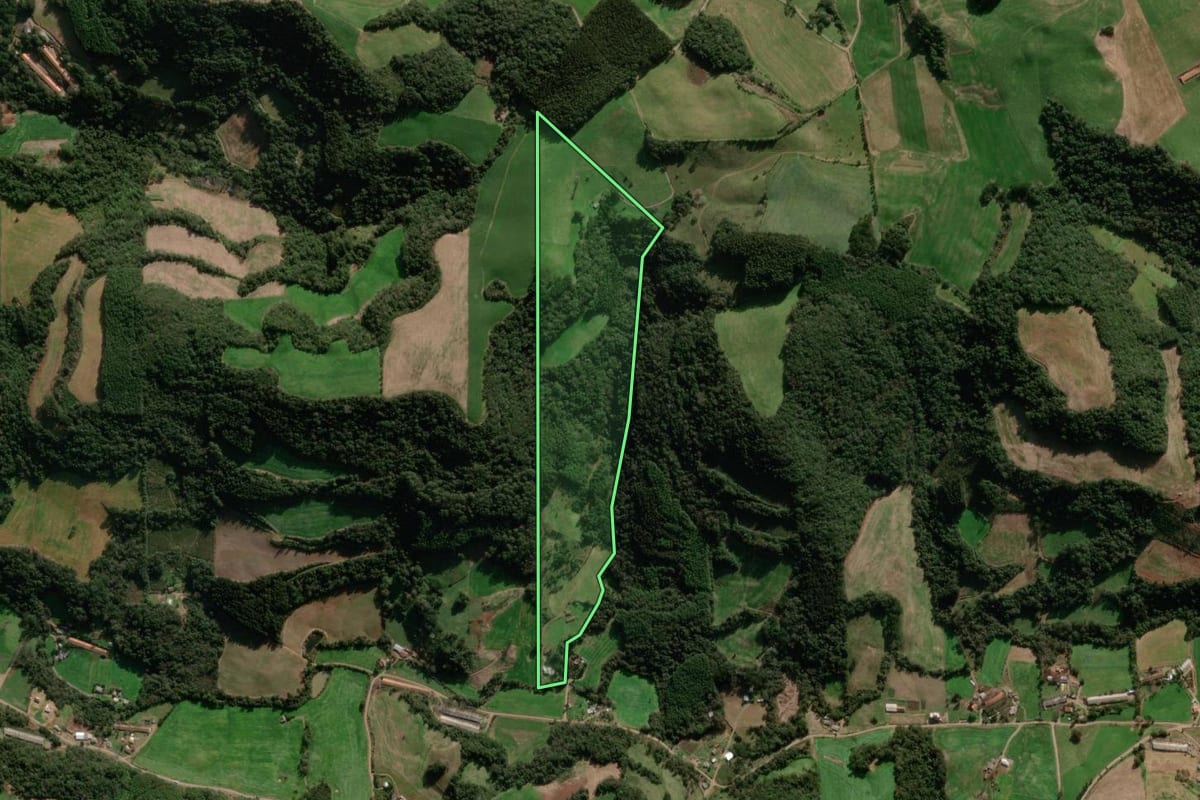 Imagem de satélite do imóvel rural em Paraí (RS), com o contorno declarado no CAR desenhado por cima.