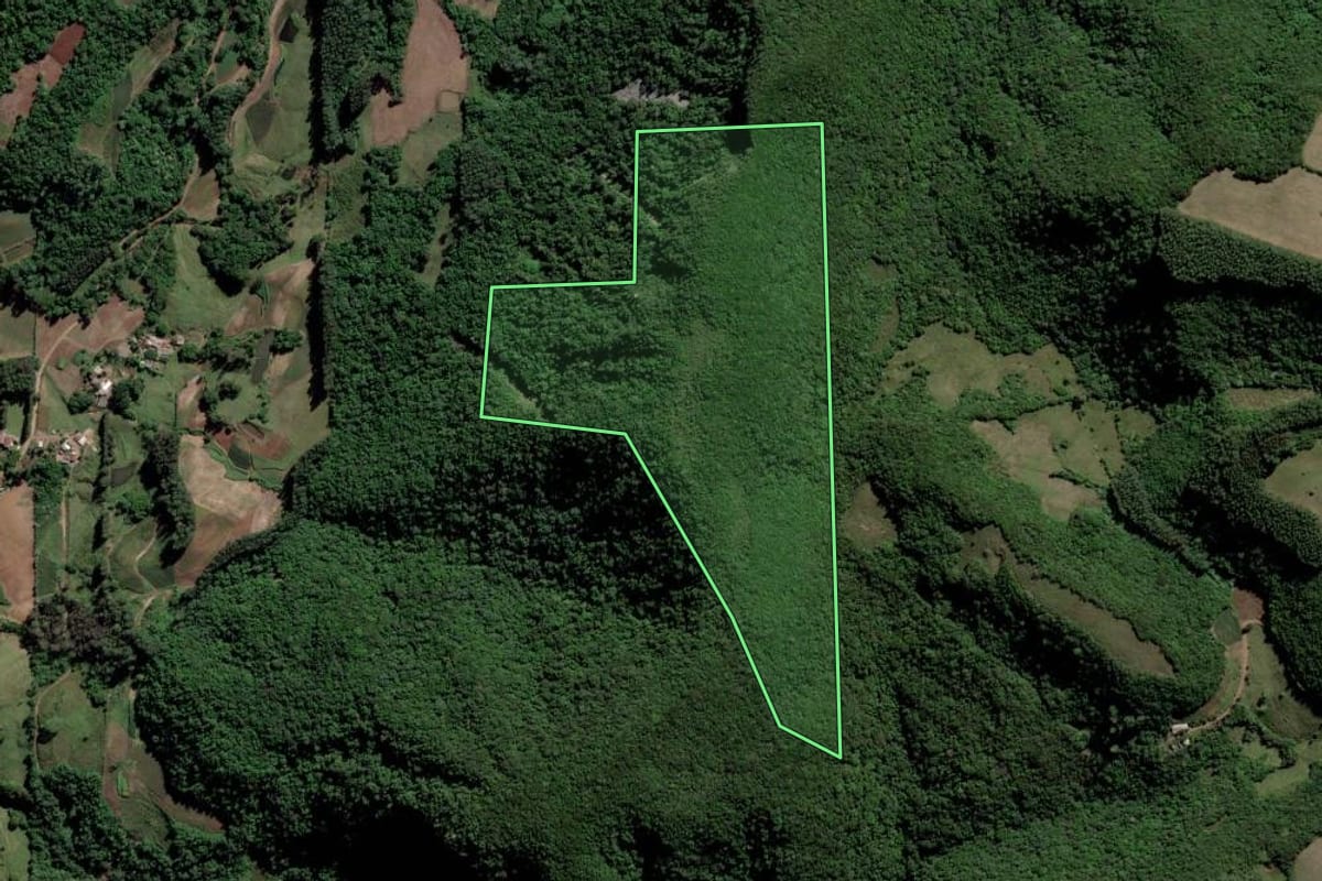 Imagem de satélite do imóvel rural em Paraíso do Sul (RS), com o contorno declarado no CAR desenhado por cima.