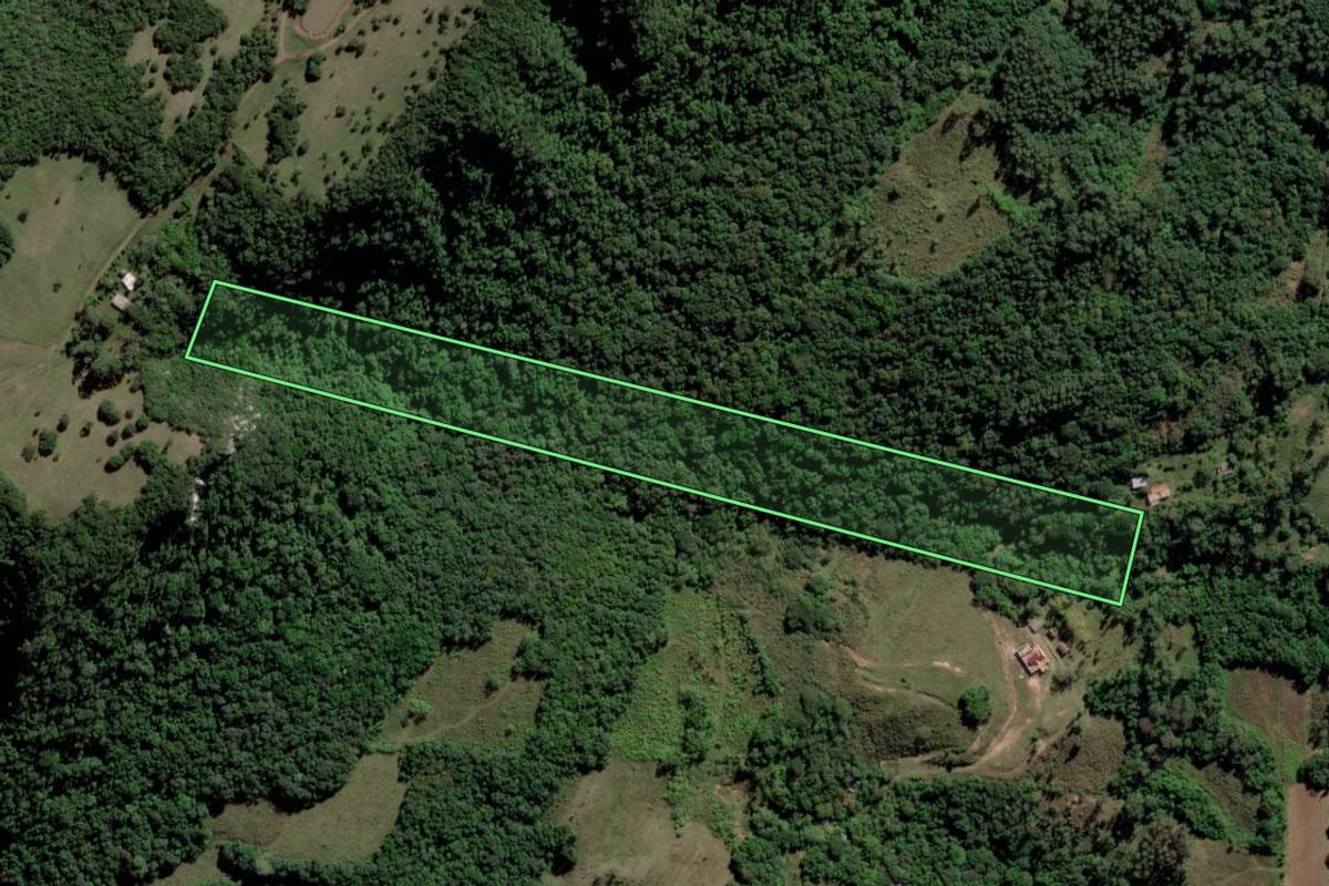 Imagem de satélite do imóvel rural em Paraíso do Sul (RS), com o contorno declarado no CAR desenhado por cima.