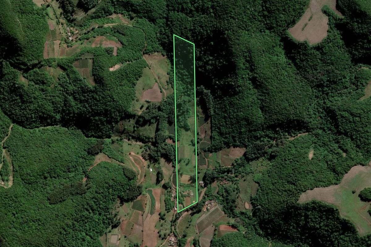 Imagem de satélite do imóvel rural em Paraíso do Sul (RS), com o contorno declarado no CAR desenhado por cima.
