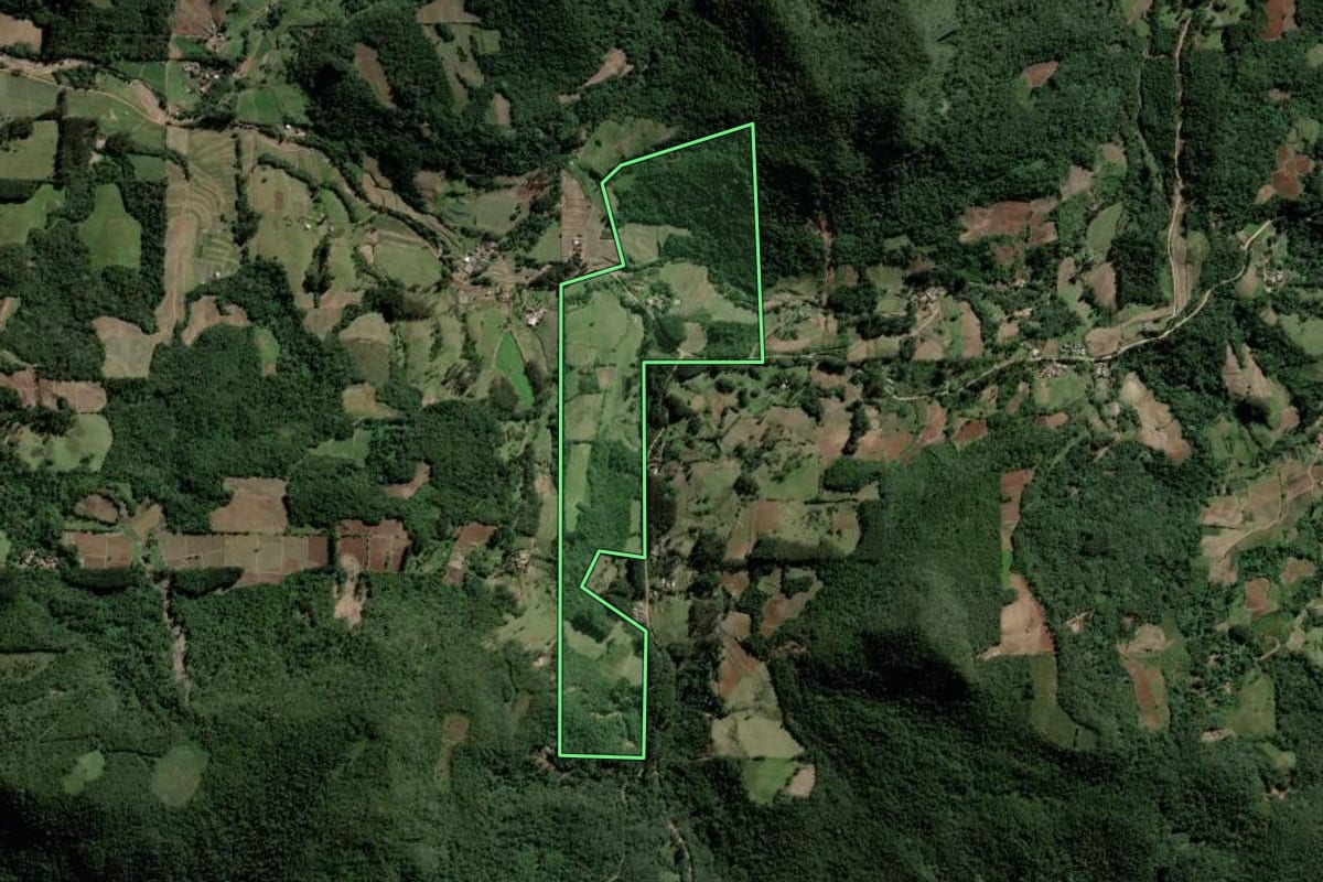 Imagem de satélite do imóvel rural em Paraíso do Sul (RS), com o contorno declarado no CAR desenhado por cima.