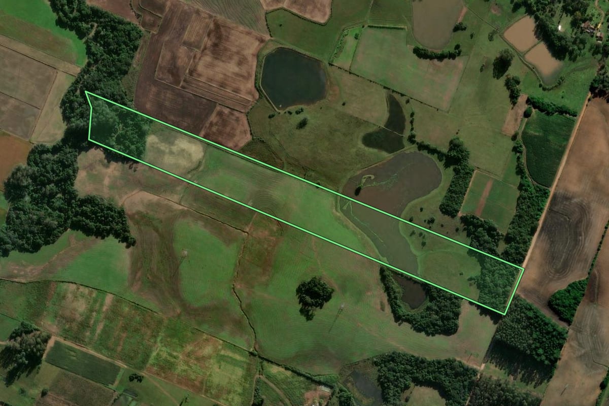 Imagem de satélite do imóvel rural em Paraíso do Sul (RS), com o contorno declarado no CAR desenhado por cima.