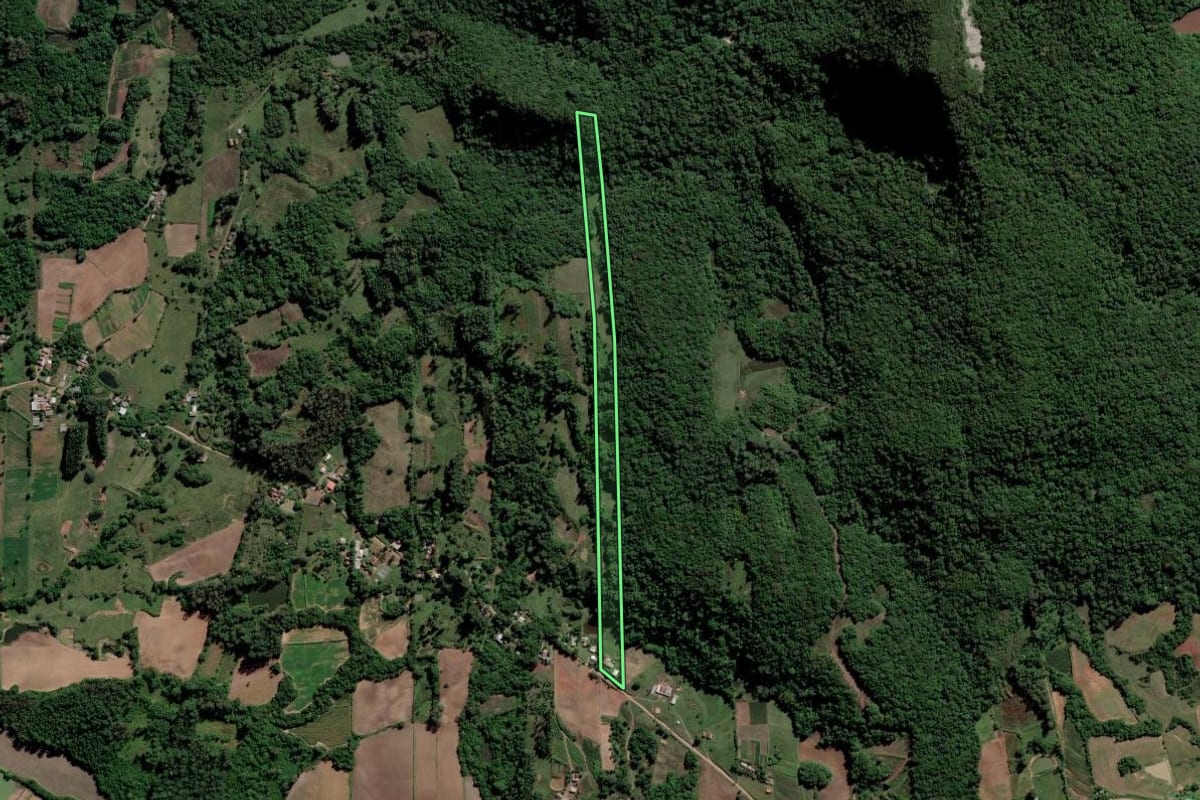 Imagem de satélite do imóvel rural em Paraíso do Sul (RS), com o contorno declarado no CAR desenhado por cima.