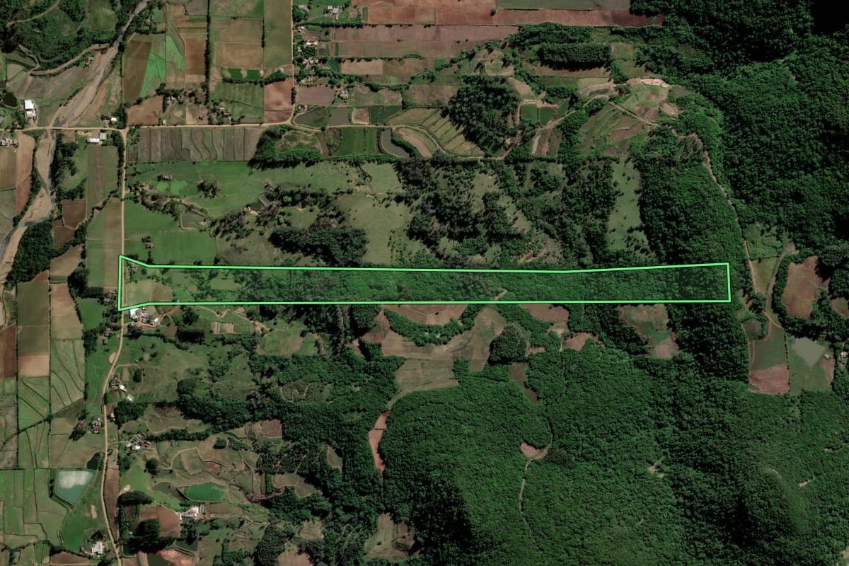 Imagem de satélite do imóvel rural em Paraíso do Sul (RS), com o contorno declarado no CAR desenhado por cima.