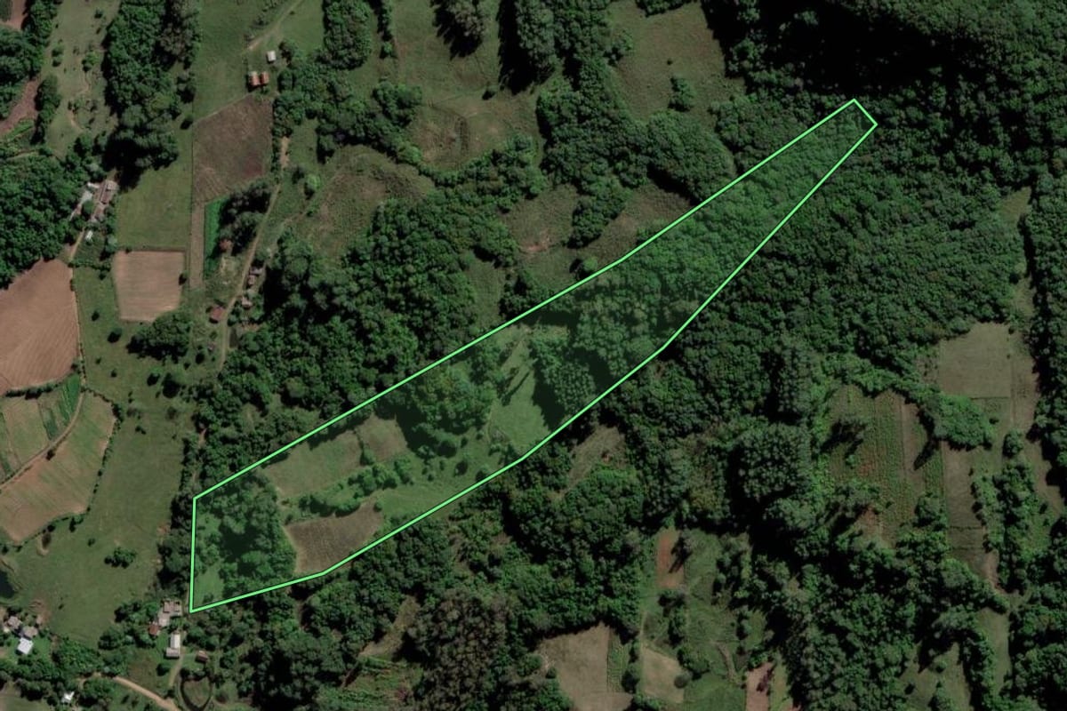 Imagem de satélite do imóvel rural em Paraíso do Sul (RS), com o contorno declarado no CAR desenhado por cima.