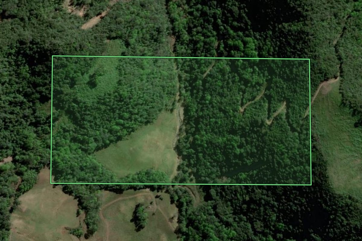 Imagem de satélite do imóvel rural em Paraíso do Sul (RS), com o contorno declarado no CAR desenhado por cima.