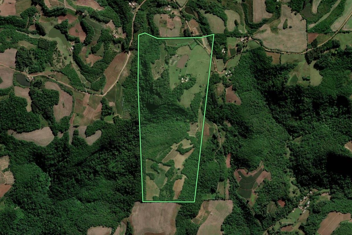 Imagem de satélite do imóvel rural em Paraíso do Sul (RS), com o contorno declarado no CAR desenhado por cima.