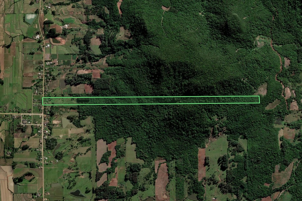 Imagem de satélite do imóvel rural em Paraíso do Sul (RS), com o contorno declarado no CAR desenhado por cima.