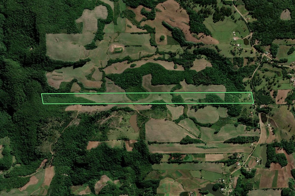 Imagem de satélite do imóvel rural em Paraíso do Sul (RS), com o contorno declarado no CAR desenhado por cima.