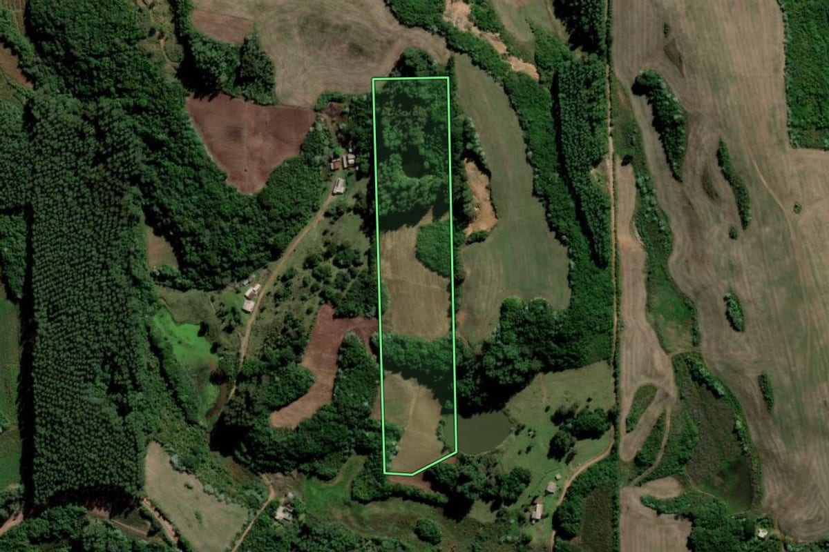 Imagem de satélite do imóvel rural em Paraíso do Sul (RS), com o contorno declarado no CAR desenhado por cima.