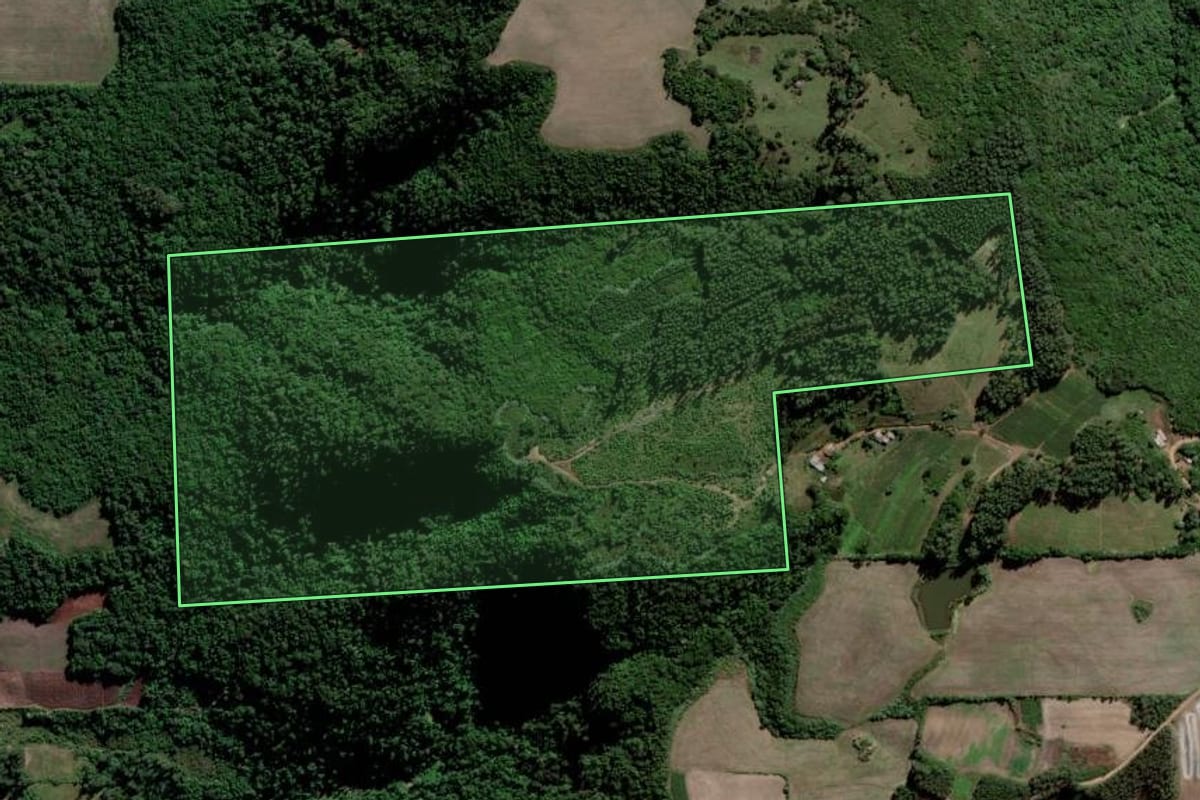Imagem de satélite do imóvel rural em Paraíso do Sul (RS), com o contorno declarado no CAR desenhado por cima.