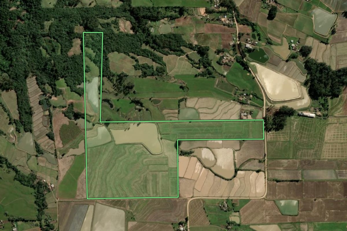 Imagem de satélite do imóvel rural em Paraíso do Sul (RS), com o contorno declarado no CAR desenhado por cima.