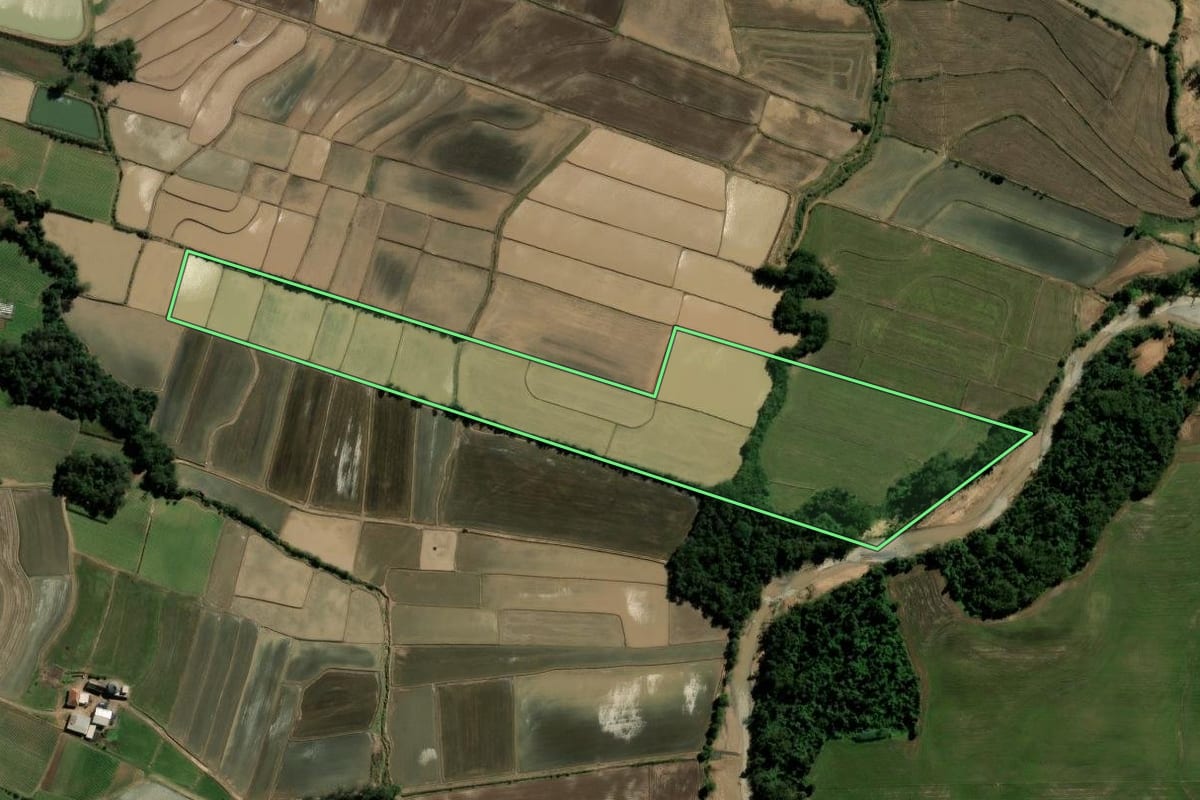 Imagem de satélite do imóvel rural em Paraíso do Sul (RS), com o contorno declarado no CAR desenhado por cima.