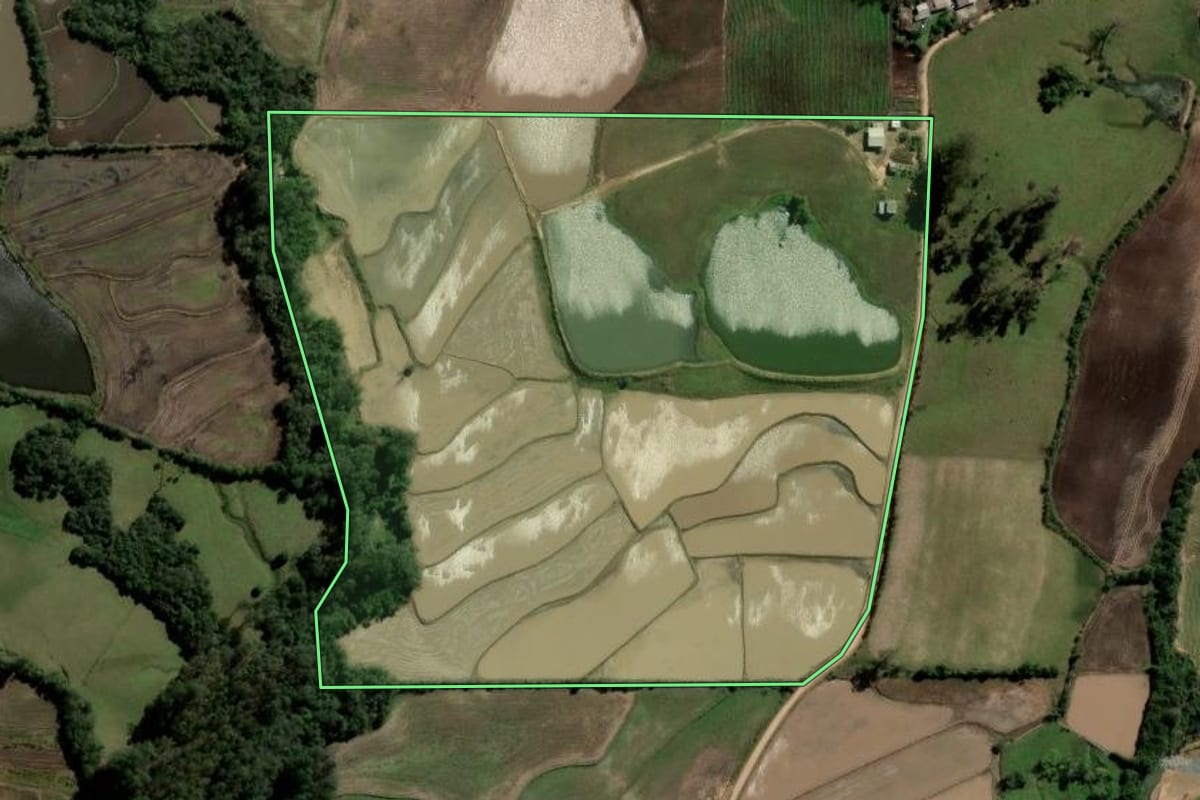 Imagem de satélite do imóvel rural em Paraíso do Sul (RS), com o contorno declarado no CAR desenhado por cima.