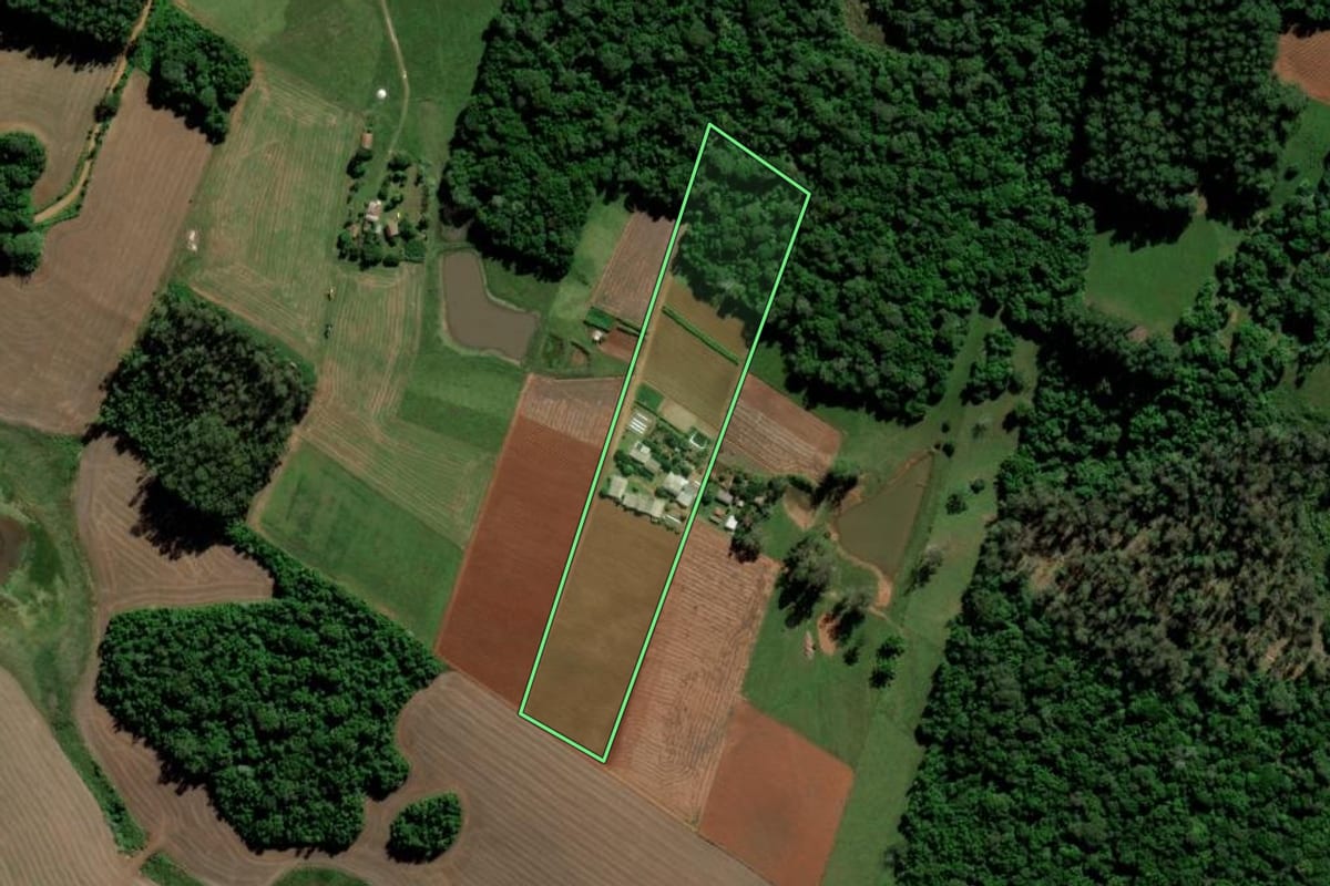 Imagem de satélite do imóvel rural em Paraíso do Sul (RS), com o contorno declarado no CAR desenhado por cima.