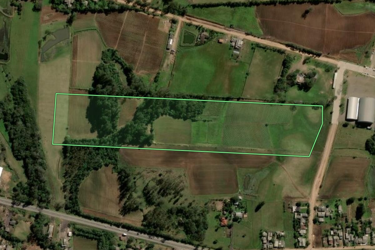 Imagem de satélite do imóvel rural em Paraíso do Sul (RS), com o contorno declarado no CAR desenhado por cima.