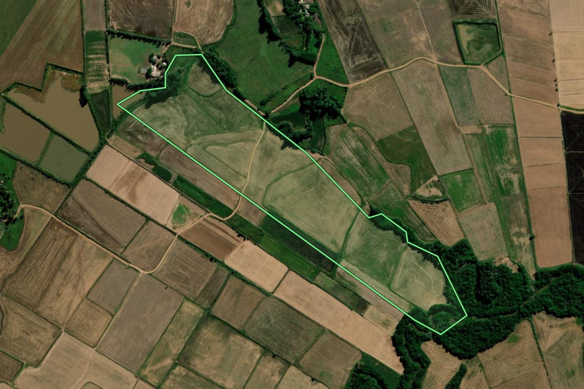 Imagem de satélite do imóvel rural em Paraíso do Sul (RS), com o contorno declarado no CAR desenhado por cima.