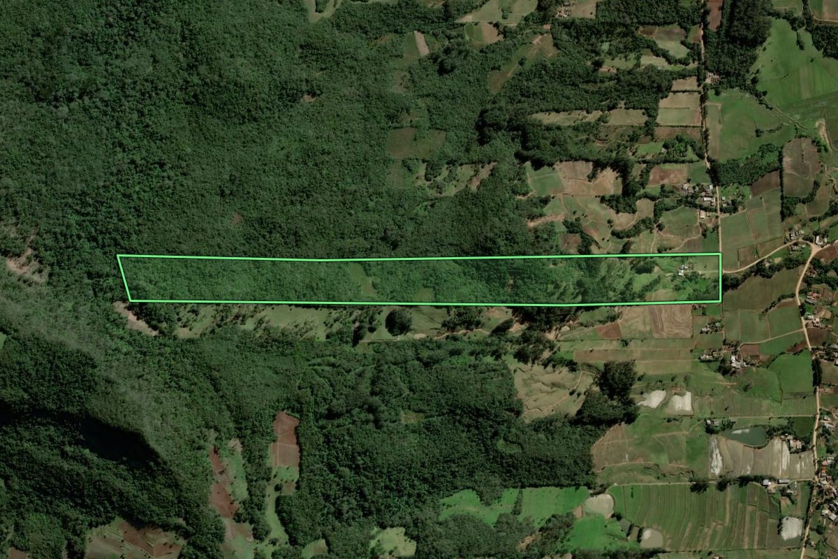 Imagem de satélite do imóvel rural em Paraíso do Sul (RS), com o contorno declarado no CAR desenhado por cima.