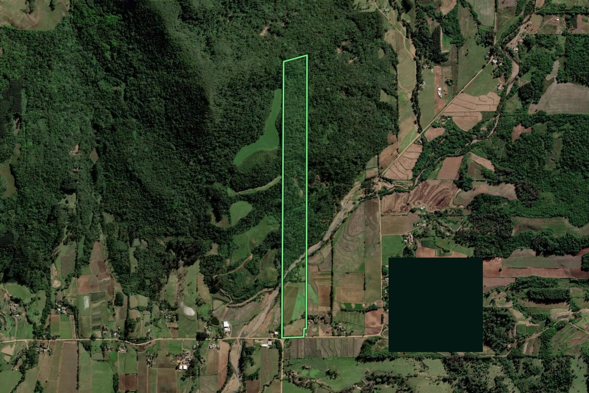 Imagem de satélite do imóvel rural em Paraíso do Sul (RS), com o contorno declarado no CAR desenhado por cima.