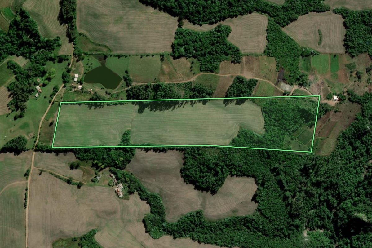 Imagem de satélite do imóvel rural em Paraíso do Sul (RS), com o contorno declarado no CAR desenhado por cima.