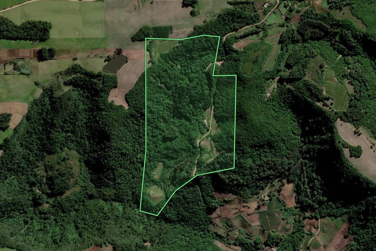 Imagem de satélite do imóvel rural em Paraíso do Sul (RS), com o contorno declarado no CAR desenhado por cima.