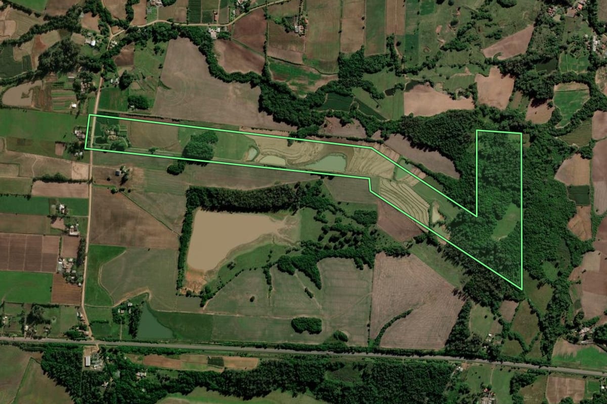 Imagem de satélite do imóvel rural em Paraíso do Sul (RS), com o contorno declarado no CAR desenhado por cima.