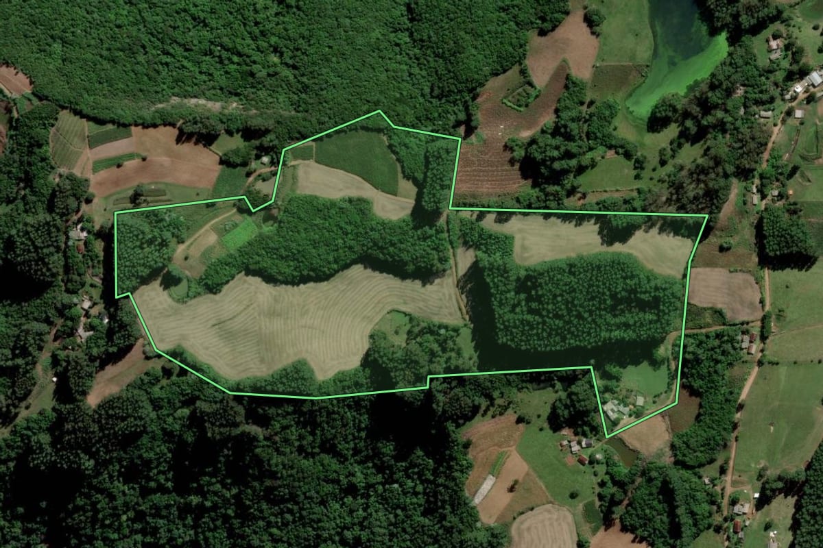Imagem de satélite do imóvel rural em Paraíso do Sul (RS), com o contorno declarado no CAR desenhado por cima.