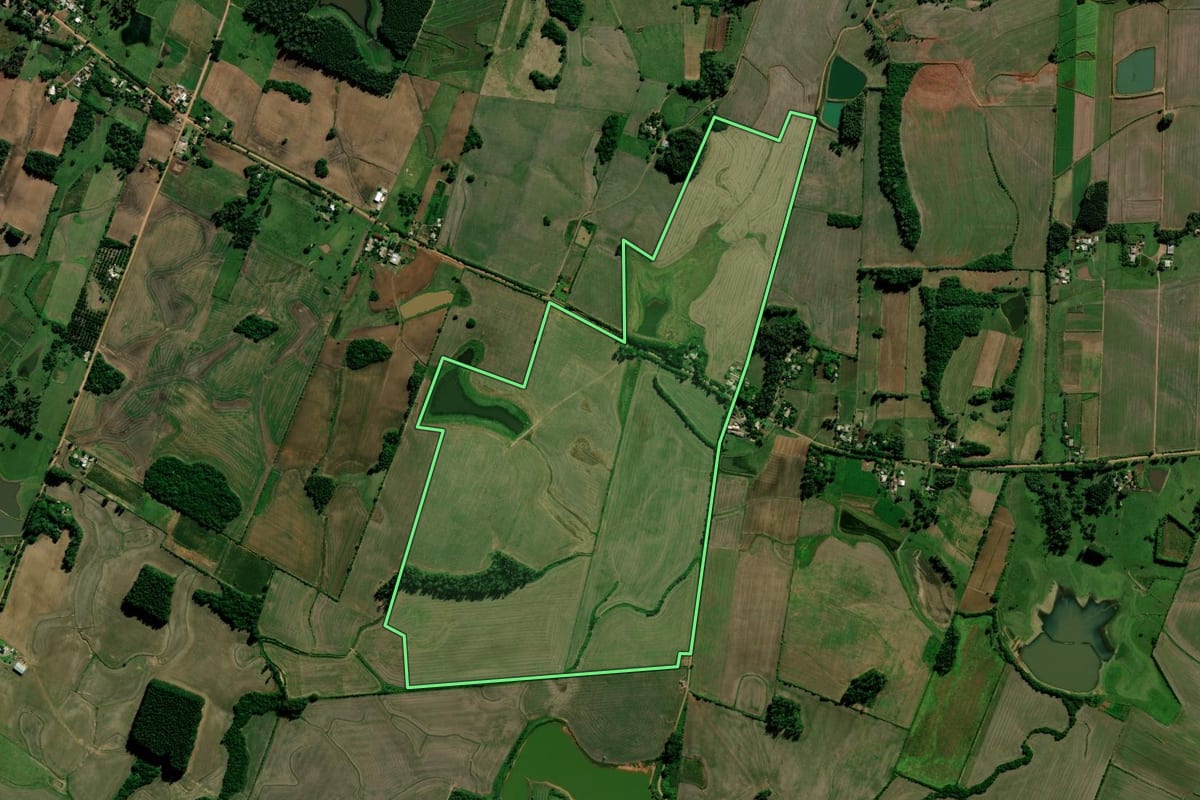 Imagem de satélite do imóvel rural em Paraíso do Sul (RS), com o contorno declarado no CAR desenhado por cima.