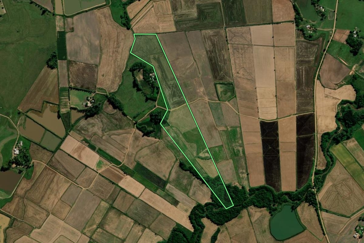 Imagem de satélite do imóvel rural em Paraíso do Sul (RS), com o contorno declarado no CAR desenhado por cima.
