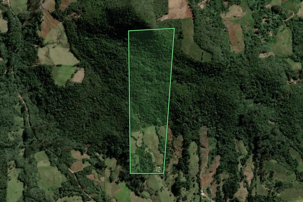 Imagem de satélite do imóvel rural em Paraíso do Sul (RS), com o contorno declarado no CAR desenhado por cima.
