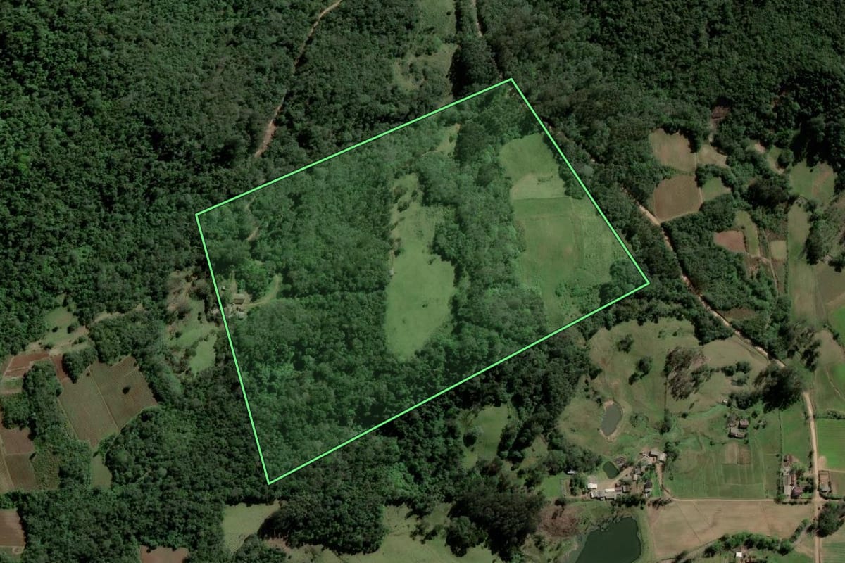 Imagem de satélite do imóvel rural em Paraíso do Sul (RS), com o contorno declarado no CAR desenhado por cima.