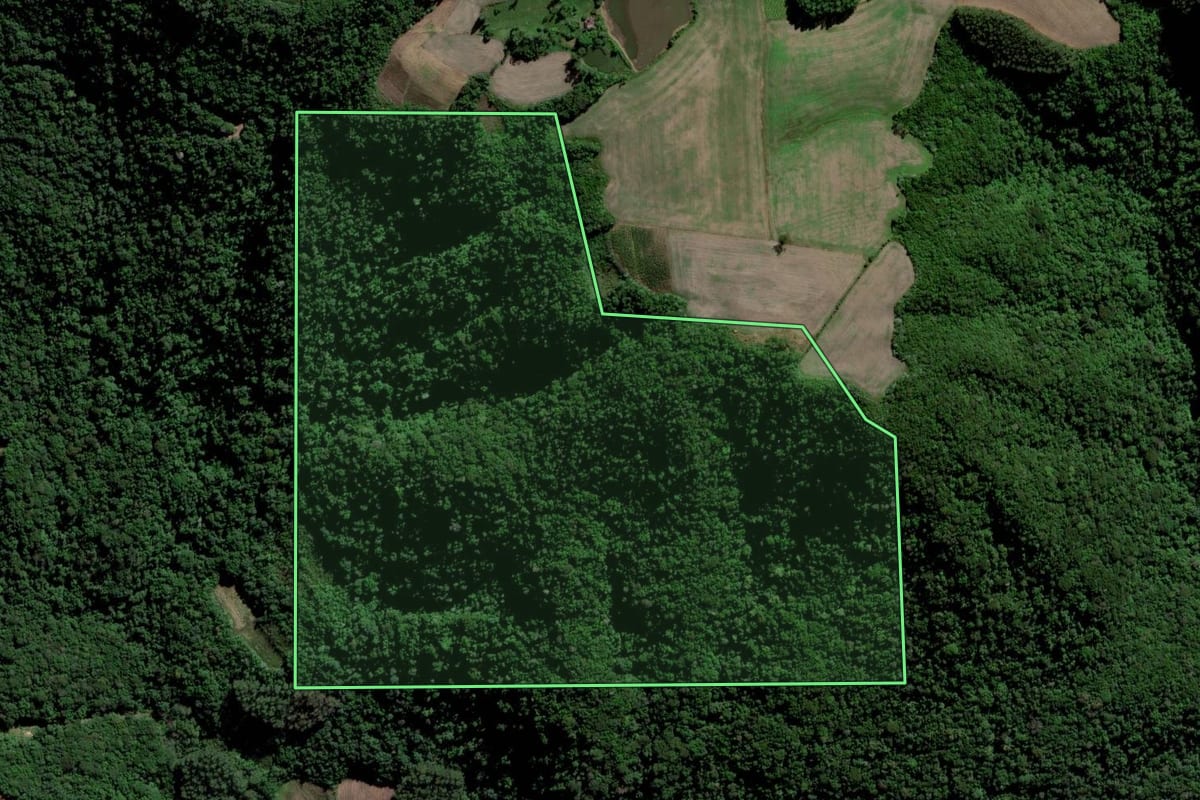Imagem de satélite do imóvel rural em Paraíso do Sul (RS), com o contorno declarado no CAR desenhado por cima.