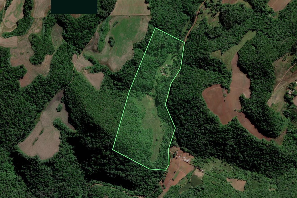Imagem de satélite do imóvel rural em Paraíso do Sul (RS), com o contorno declarado no CAR desenhado por cima.