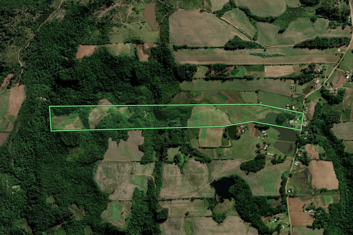 Imagem de satélite do imóvel rural em Paraíso do Sul (RS), com o contorno declarado no CAR desenhado por cima.