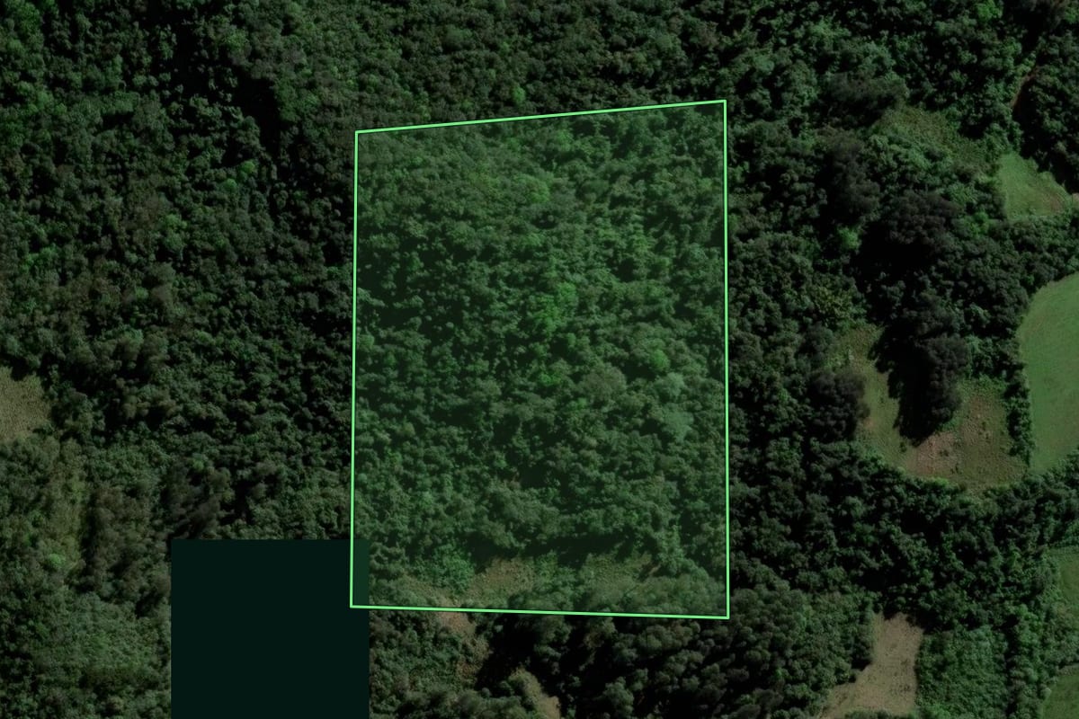 Imagem de satélite do imóvel rural em Paraíso do Sul (RS), com o contorno declarado no CAR desenhado por cima.