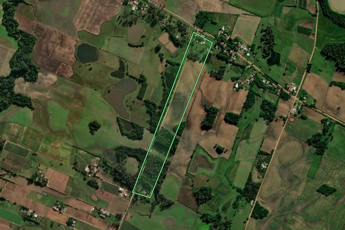 Imagem de satélite do imóvel rural em Paraíso do Sul (RS), com o contorno declarado no CAR desenhado por cima.
