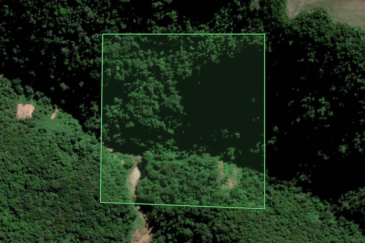 Imagem de satélite do imóvel rural em Paraíso do Sul (RS), com o contorno declarado no CAR desenhado por cima.