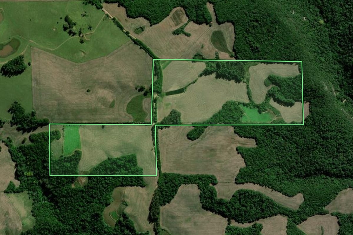 Imagem de satélite do imóvel rural em Paraíso do Sul (RS), com o contorno declarado no CAR desenhado por cima.
