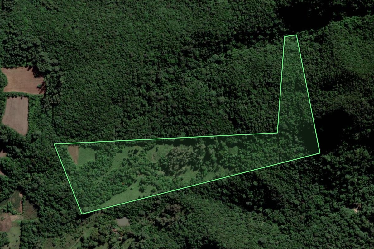 Imagem de satélite do imóvel rural em Paraíso do Sul (RS), com o contorno declarado no CAR desenhado por cima.